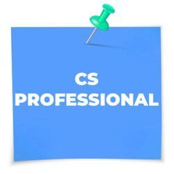 cs professional