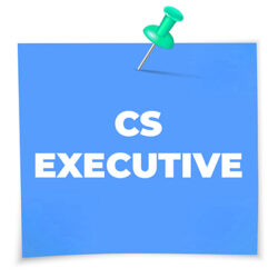 cs executive